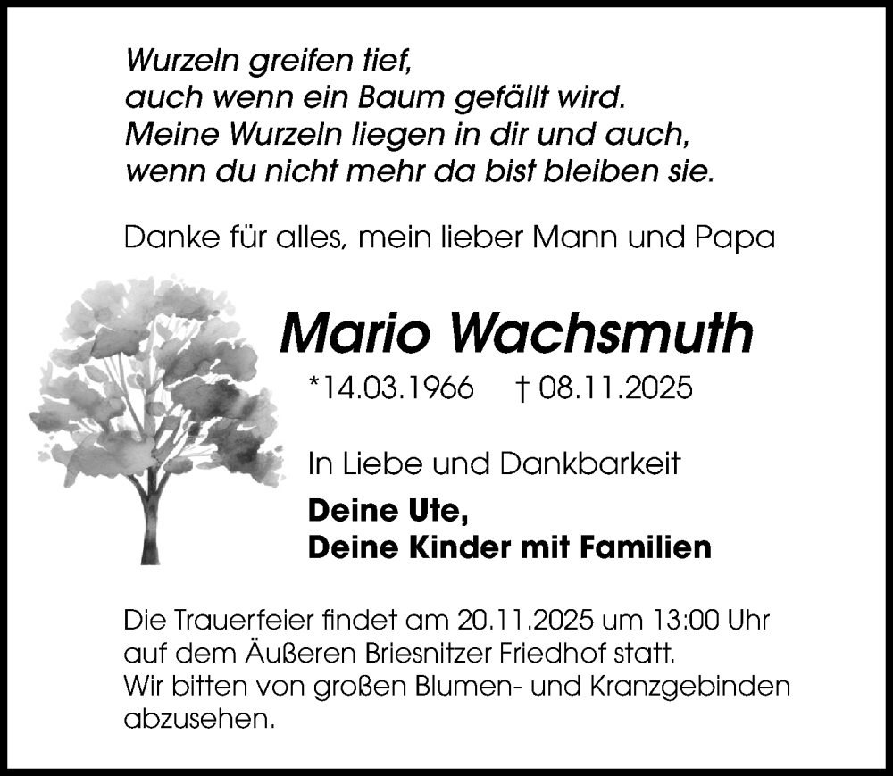  Traueranzeige für Mario Wachsmuth vom 14.11.2025 aus Sächsische Zeitung