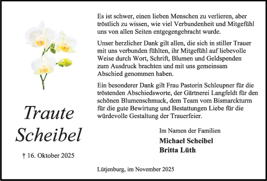 Traueranzeige von Traute Scheibel von Kieler Nachrichten