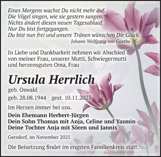 Traueranzeige von Ursula Herrlich von Sächsische Zeitung
