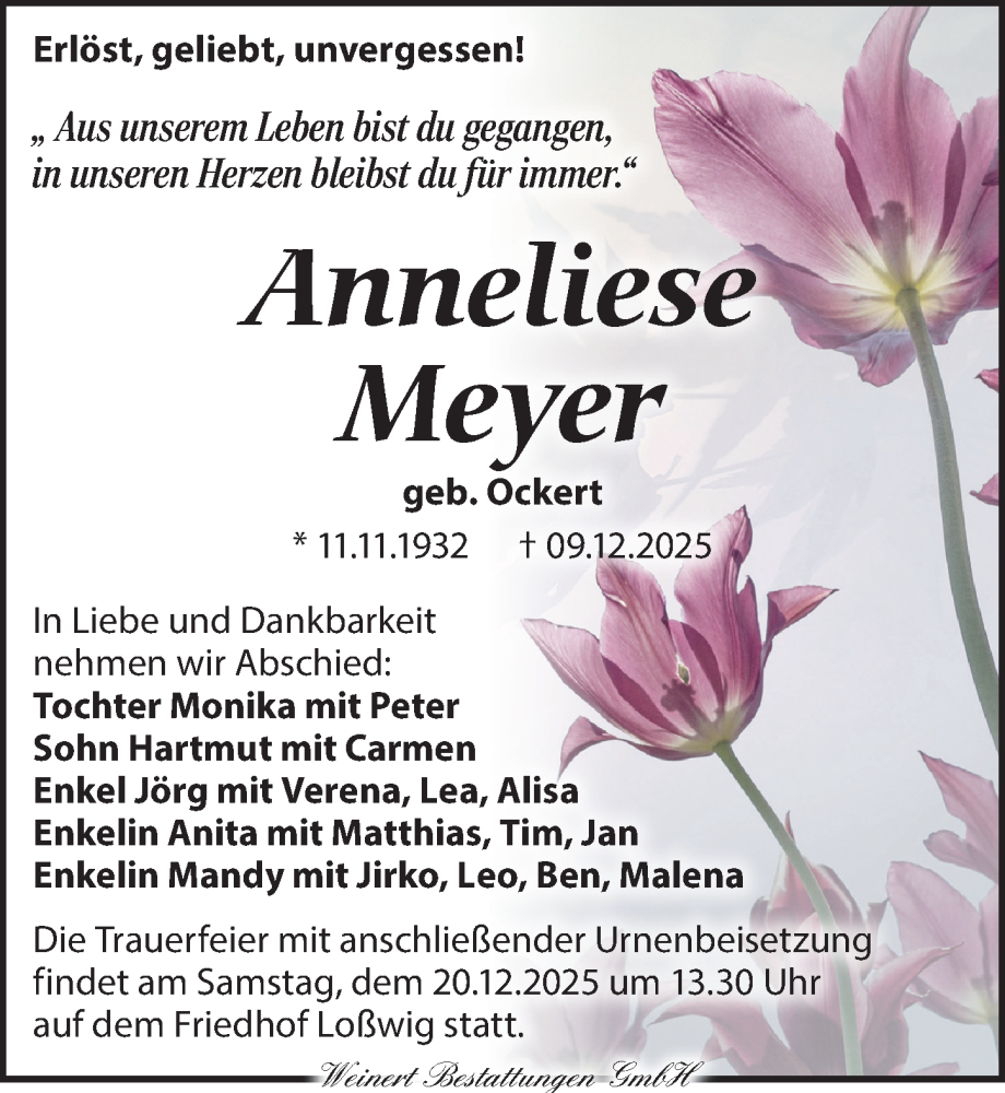  Traueranzeige für Anneliese Meyer vom 14.12.2025 aus Torgauer Zeitung