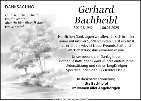 Traueranzeige von Gerhard Bachheibl von Torgauer Zeitung