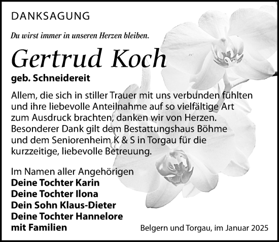 Traueranzeige von Gertrud Koch von Torgauer Zeitung