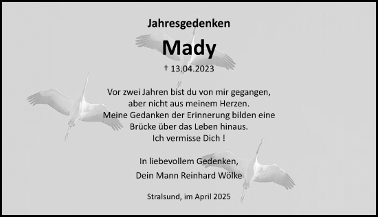 Traueranzeige von Mady  von Ostsee-Zeitung GmbH