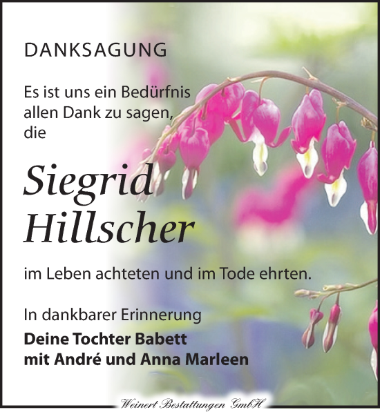 Traueranzeige von Siegrid Hillscher von Torgauer Zeitung