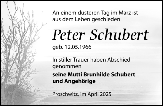 Traueranzeige von Peter Schubert von Torgauer Zeitung