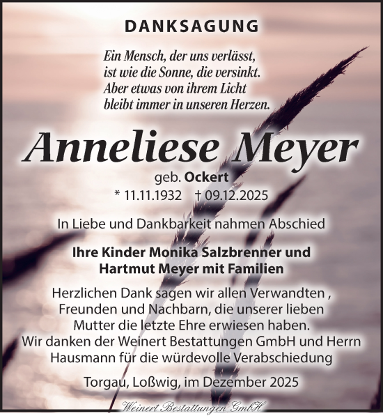 Traueranzeige von Anneliese Meyer von Torgauer Zeitung