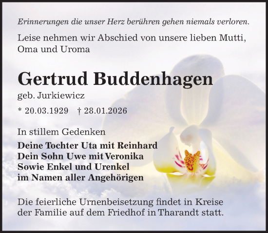 Traueranzeige von Gertrud Buddenhagen von Sächsische Zeitung
