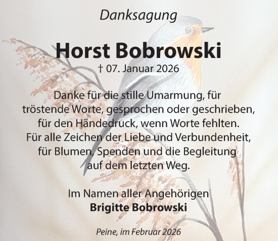 Traueranzeige von Horst Bobrowski von Peiner Allgemeine Zeitung